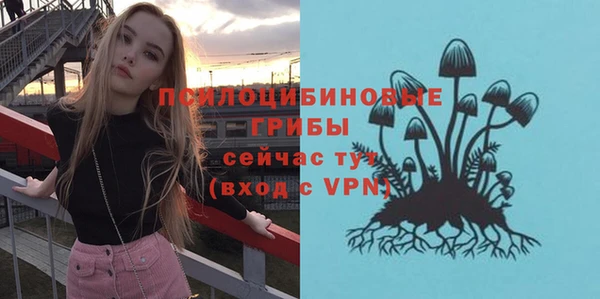 PSILOCYBIN Иннополис