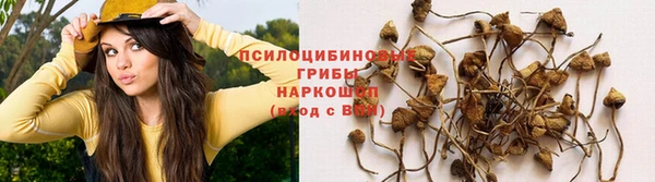 МДПВ Инта