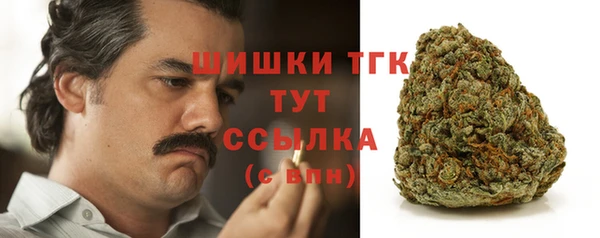 МДПВ Инта
