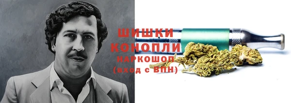 PSILOCYBIN Иннополис