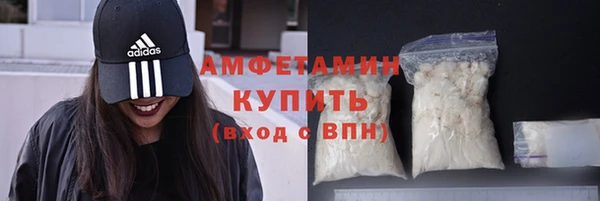сатива Инсар