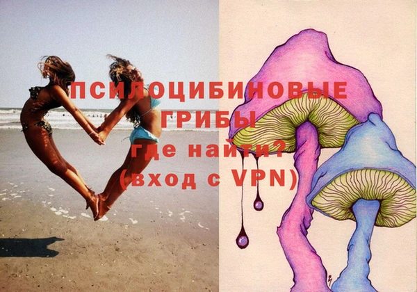сатива Инсар
