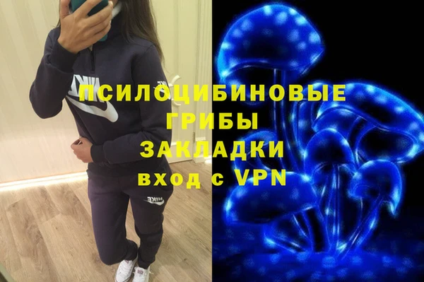 сатива Инсар