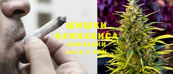 сатива Инсар