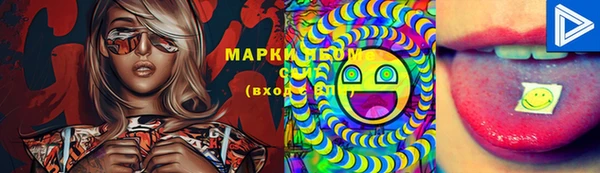 МДПВ Инта