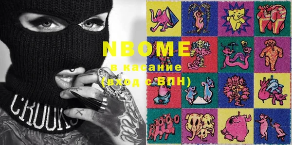 сатива Инсар
